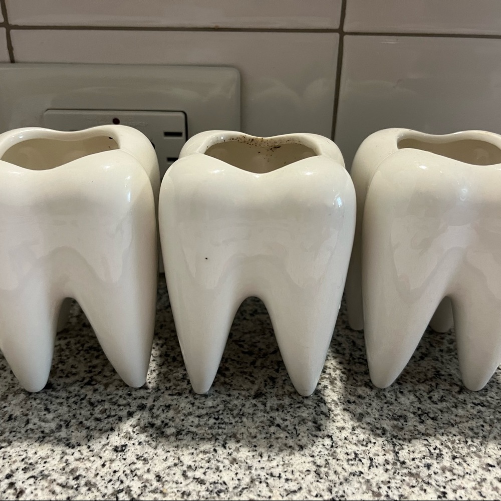 Dental succulent pots!